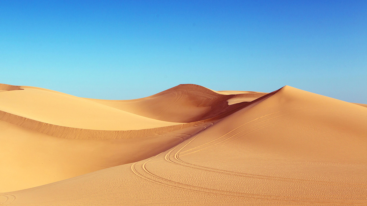 Aktuell gibt es keine Inhalte.