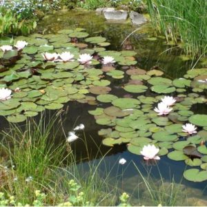 Ferienwohnung Haßmüller