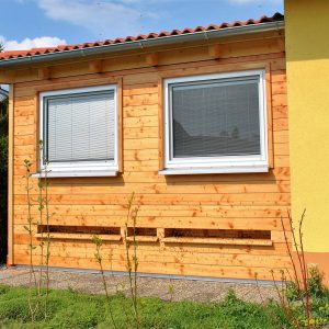 Bienenstocklufttherapie