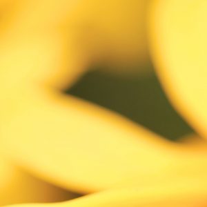 Bienenstocklufttherapie