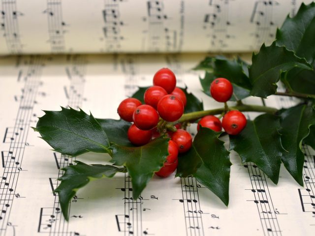 Vorweihnachtliches Konzert