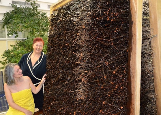 Frischluftkur für die Atemwege