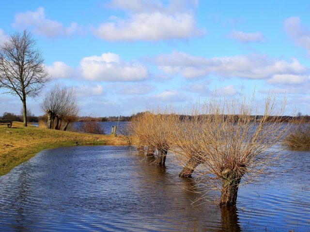 Schimmelprävention & Sofortmaßnahmen bei Hochwasser