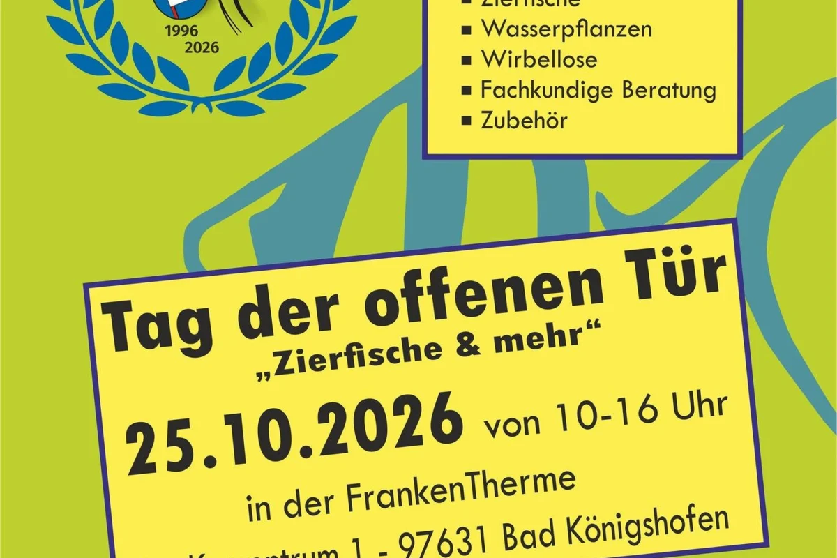 Bild vergrößern
